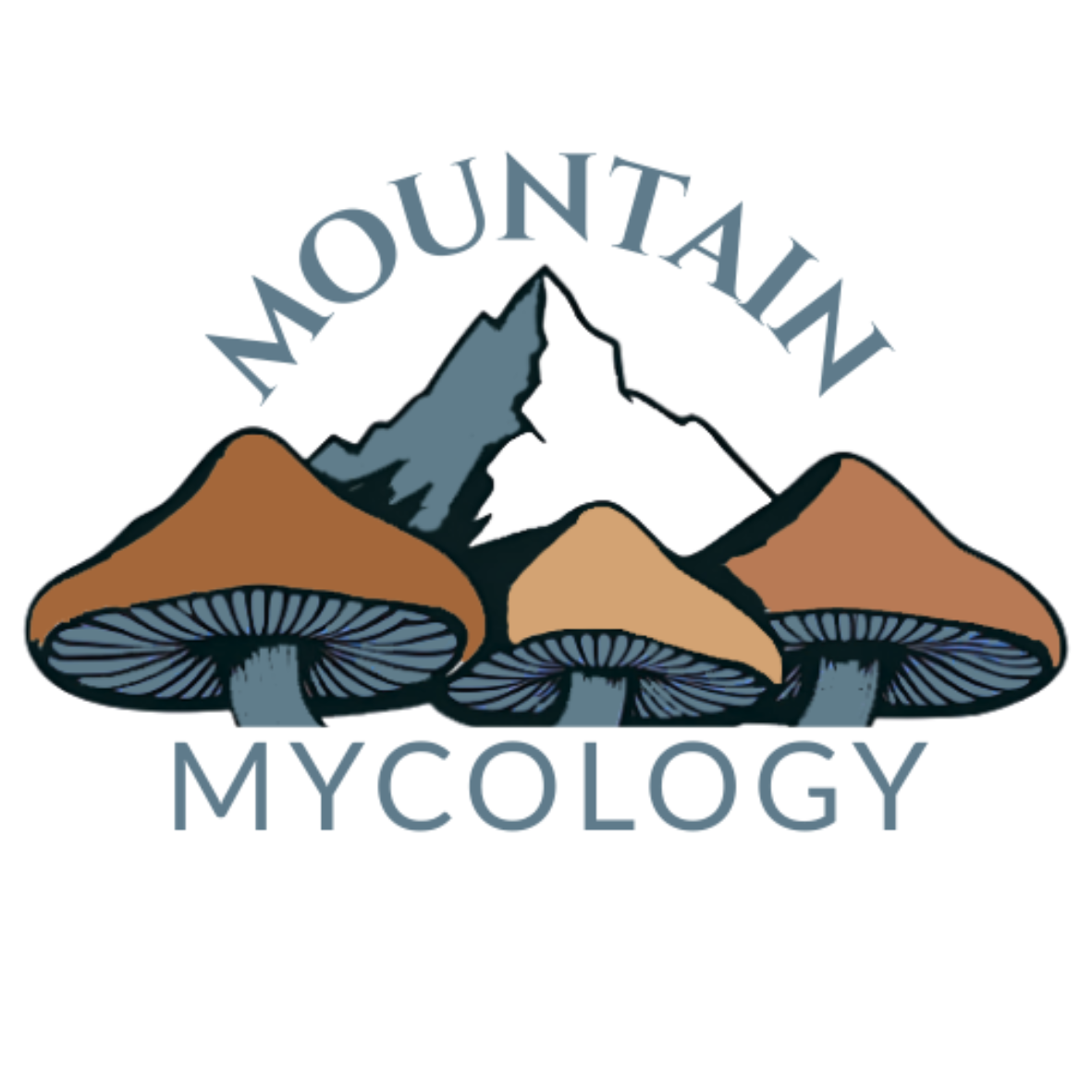 Mountain Mycology