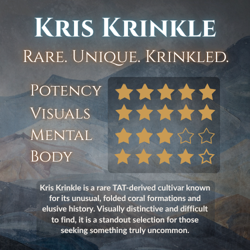 Kris Krinkle